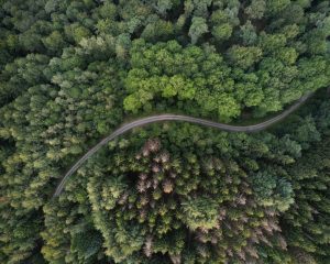 Read more about the article Czym różni się zrównoważony rozwój od ESG?