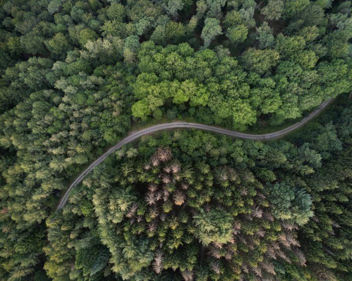 Read more about the article Czym różni się zrównoważony rozwój od ESG?